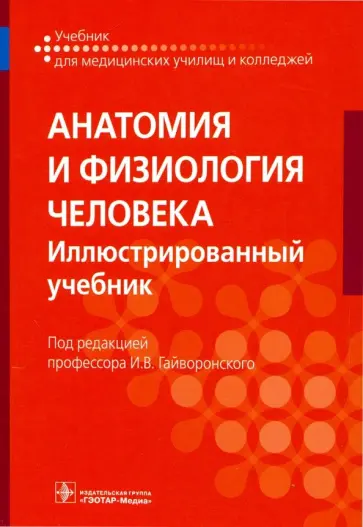 Гайворонский, Гайворонский - Анатомия и физиология человека. Иллюстрированный учебник обложка книги