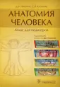 Никитюк Дмитрий Борисович