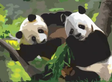 Картина по номерам А3 "ПАНДЫ" (661621) обложка книги