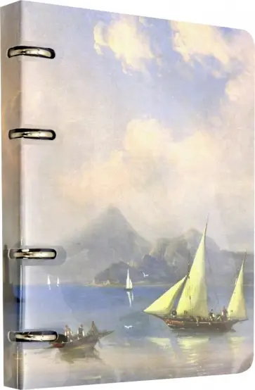 Тетрадь общая на кольцах "Ayvazovsky" (120 листов, 163х212 мм, клетка) (N1602) обложка книги