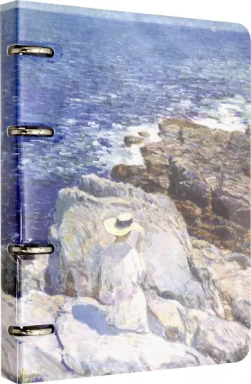 Тетрадь общая "Hassam" (120 листов, клетка, на кольцах) (N1603) обложка книги
