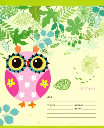 Тетрадь школьная "Чудесные совушки" (18 листов, А5, линия, в ассортименте) (ТЛ186328) обложка книги