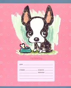 Тетради 32-48л