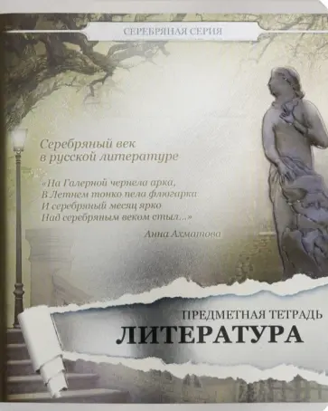 Тетрадь предметная Серебряная. Литература, 48 листов обложка книги