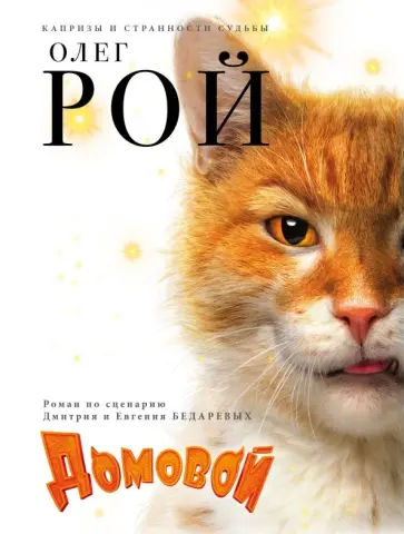 Олег Рой - Домовой обложка книги