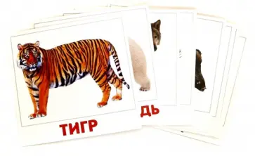 Дикие животные обложка книги