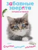 Миниатюра 1