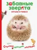 Миниатюра 1