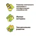 Миниатюра 5