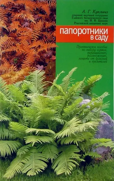 Алла Куклина - Папоротники в саду Алла Куклина - Папоротники в саду обложка книги