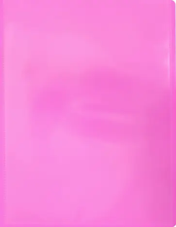 Папка на 4 кольцах А4 "Neon" розовая (DNE0740/4RPINK) обложка книги