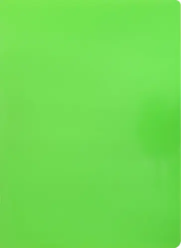 Папка 10 вкладышей А4 "Neon" салатовая (DNE07V10LETT) обложка книги