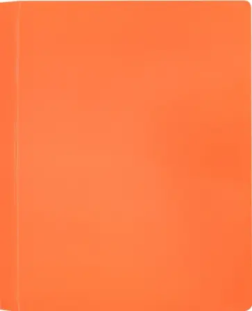 Папка 10 вкладышами А4 "Neon" оранжевая (DNE07V10OR) обложка книги