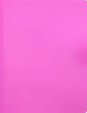 Папка 10 вкладышами А4 "Neon" розовый (DNE07V10PINK) обложка книги