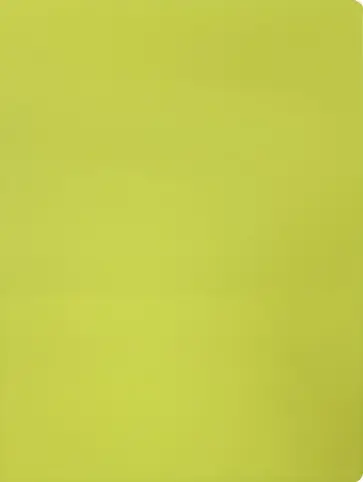 Папка 10 вкладышами А4 "Neon" желтая (DNE07V10YEL) обложка книги