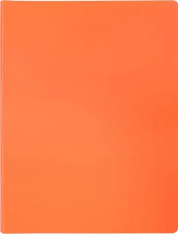 Папка 20 вкладышей А4 "Neon" оранжевая (DNE07V20OR) обложка книги