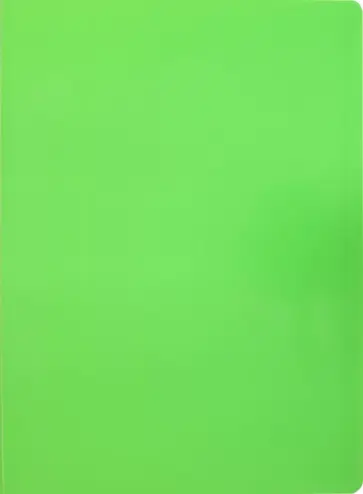 Папка 30 вкладышами А4 "Neon" салатовый (DNE07V30LETT) обложка книги