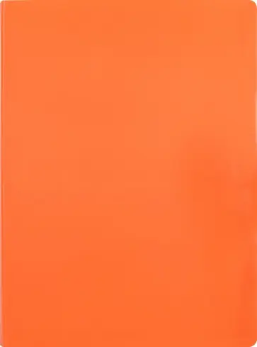 Папка 30 вкладышами А4 "Neon" оранжевй (DNE07V30OR) обложка книги