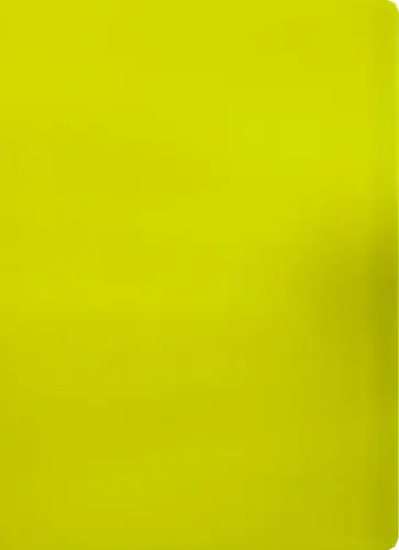 Папка 30 вкладышами А4 "Neon" желтая (DNE07V30YEL) обложка книги