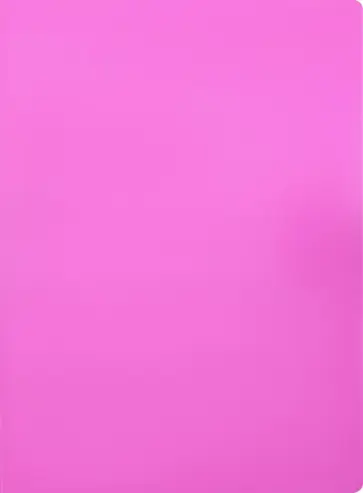 Папка с зажимом А4 "Neon" + карман, розовая (DNE07СPINK) Папка с зажимом А4 "Neon" + карман, розовая (DNE07СPINK) обложка книги