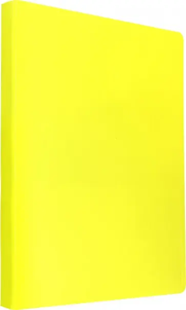 Папка с зажимом "Double Neon" (А4, желтый) (DNE07СYEL) Папка с зажимом "Double Neon" (А4, желтый) (DNE07СYEL) обложка книги