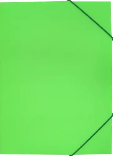 Папка на резинке А4 "Neon" салатовая (DNE510LETT) обложка книги