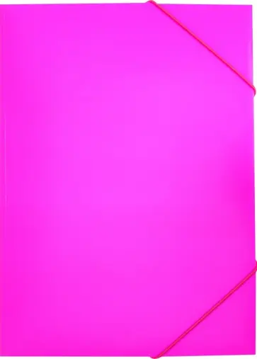 Папка на резинке А4 "Neon" розовый (DNE510PINK) Папка на резинке А4 "Neon" розовый (DNE510PINK) обложка книги