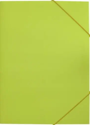 Папка на резинке А4 "Neon" желтый (DNE510YEL) обложка книги