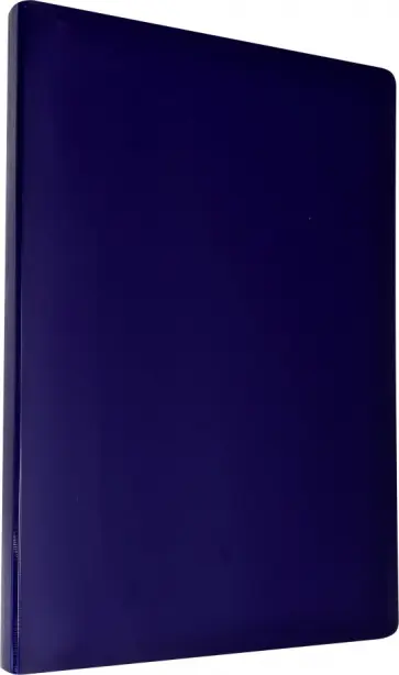 Папка с зажимом "DeLuxe" (А4, черничный) (DL07CBBERRY) Папка с зажимом "DeLuxe" (А4, черничный) (DL07CBBERRY) обложка книги
