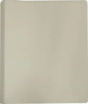 Папка с зажимом А4 "DeLuxe" молочная (DL07CMILK) Папка с зажимом А4 "DeLuxe" молочная (DL07CMILK) обложка книги