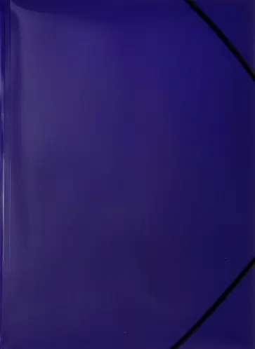 Папка на резинке "DeLuxe", А4, черничная (DL510BBERRY) обложка книги