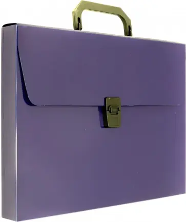 Портфель "DeLuxe" (А4, черничный) (DLPP01BBERRY) Портфель "DeLuxe" (А4, черничный) (DLPP01BBERRY) обложка книги
