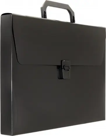 Портфель "DeLuxe", черный (DLPP01BLCK) Портфель "DeLuxe", черный (DLPP01BLCK) обложка книги
