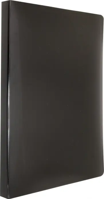 Папка с 10 вкладышами "DeLuxe" (А4, черная) (DLV10BLCK) обложка книги