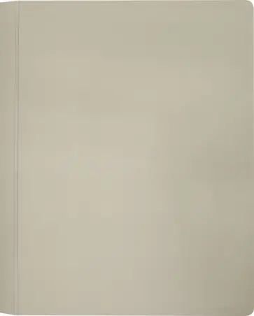 Папка 10 вкладышами DeLuxe, молочная, А4 обложка книги