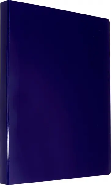 Папка с прозрачными вкладышами "DeLuxe" (20 вкладышей, черничный) (DLV20BBERRY) обложка книги
