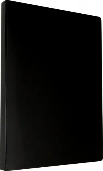 Папка с прозрачными вкладышами "DeLuxe" (20 вкладышей, черный) (DLV20BLCK) обложка книги