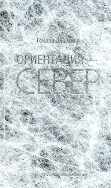 Гейдар Джемаль - Ориентация — Север обложка книги