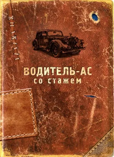 Обложка для автодокументов "Водитель-ас со стажем" (RN358) обложка книги