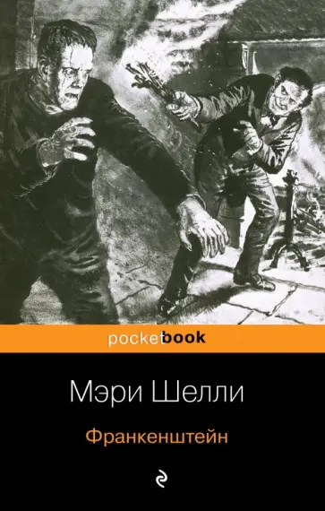 Мэри Шелли - Франкенштейн Мэри Шелли - Франкенштейн обложка книги