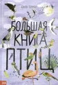 Зоммер Юваль