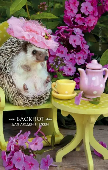 Елена Еремина - Блокнот для людей и ежей "Чаепитие" (32 листа, линейка) обложка книги