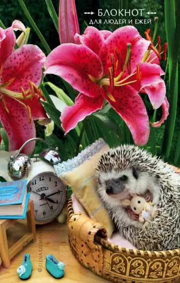 Елена Еремина - Блокнот для людей и ежей "Лилии" (32 листа, линейка) обложка книги