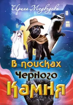 Ирина Медведева - В поисках Черного Камня обложка книги