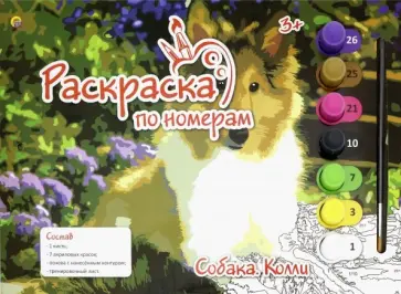 Раскраска по номерам А4 "СОБАКА. КОЛЛИ" (Р-5824) обложка книги