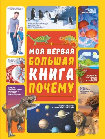 Дарья Ермакович - Моя первая большая книга ПОЧЕМУ обложка книги