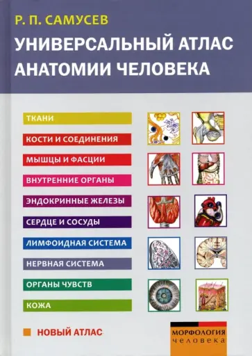 Рудольф Самусев - Универсальный атлас анатомии человека. Учебное пособие для студентов медицинских учебных заведений Рудольф Самусев - Универсальный атлас анатомии человека. Учебное пособие для студентов медицинских учебных заведений обложка книги