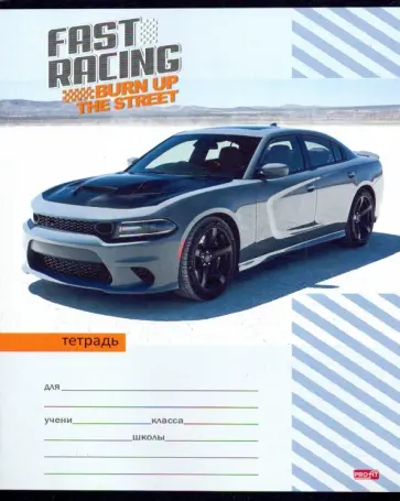 Тетрадь 18 листов, линия "АВТО И ЦВЕТНЫЕ ПОЛОСЫ" 5 видов (18-3545) обложка книги