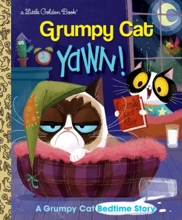 Grumpy Cat: Yawn! обложка книги