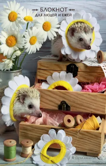Блокнот для людей и ежей (ромашки) обложка книги